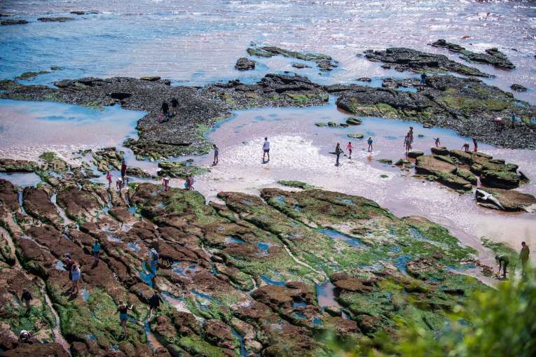 Victoria Hotel Local Area Families Exploring Rock Pools on Beach