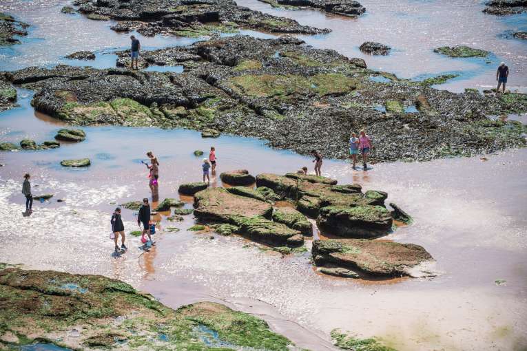 Victoria Hotel Local Area Families Exploring Rock Pools on Beach