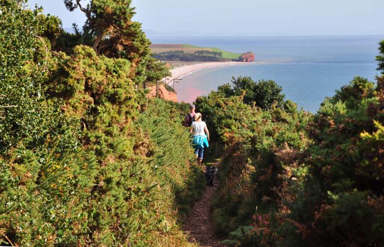 Couple Walking Their Dog on Coast Path Near Budleigh Salterton South Devon