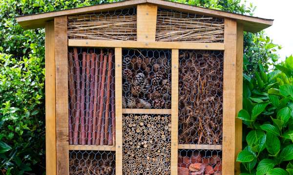 Bug hotel in Victoria Hotel garden