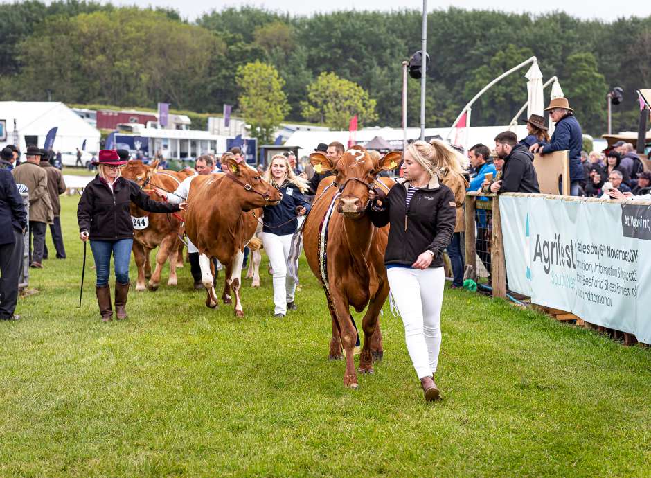 Devon County Show