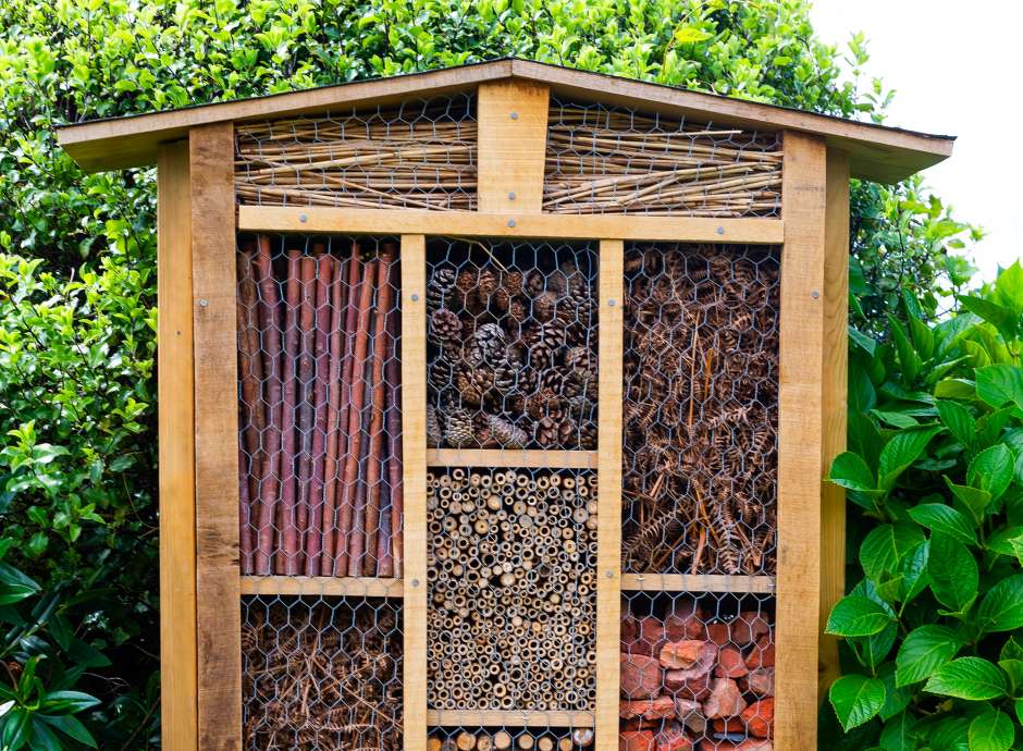 Bug hotel in Victoria Hotel garden